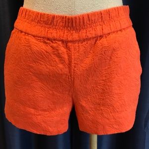Jcrew Orange Chinos